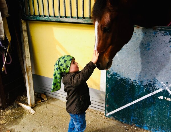 Kind streichelt Pferd des Reitclub Gastein