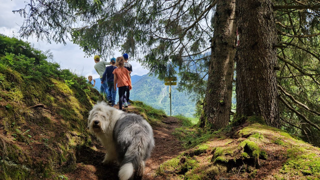 Kinder wandern mit Hund in Bad Gastein