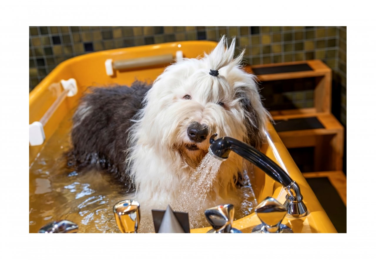 Room for radon water baths at Hotel Sonngastein with hotel dog Wolly