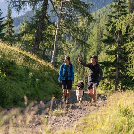 Ein Paar mit Hund beim Wandern im Wald