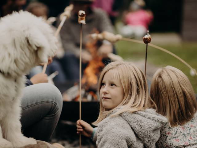 Kindern sitzen am Lagerfeuer mit einem Hund