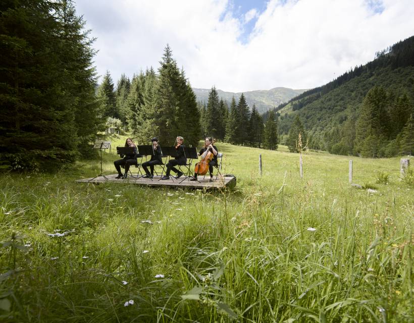 Ein Streichorchester gibt ein Konzert auf einer Wiese direkt am Waldrand