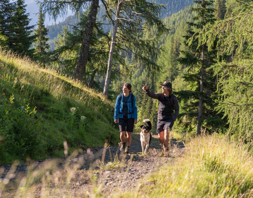 Ein Paar mit Hund beim Wandern im Wald