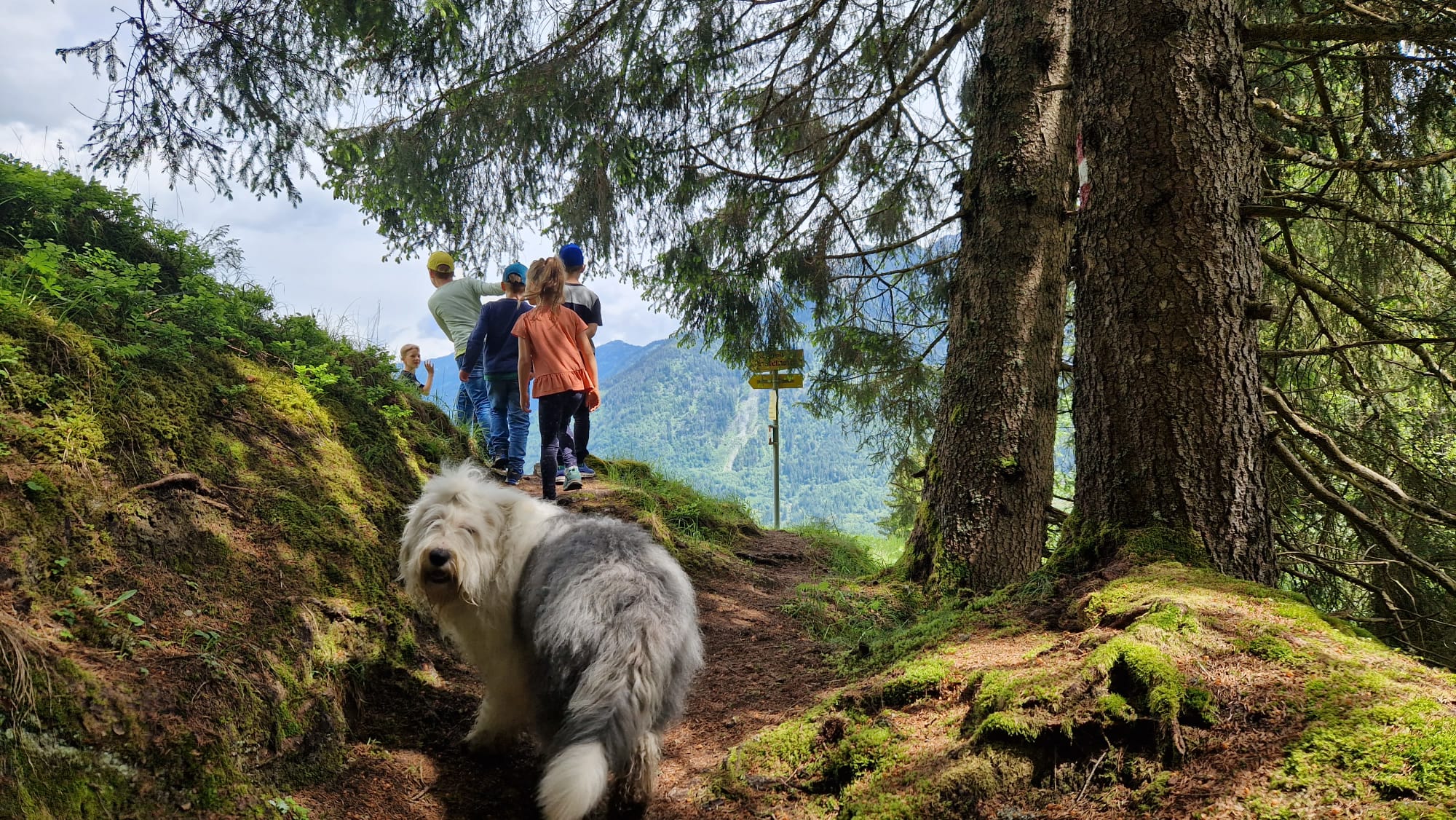 Kinder wandern mit Hund in Bad Gastein