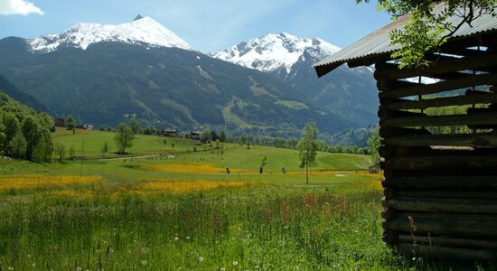 Blumenwiese im Gasteinertal