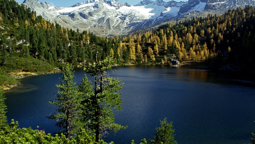 Sommerpanorama im Gasteinertal