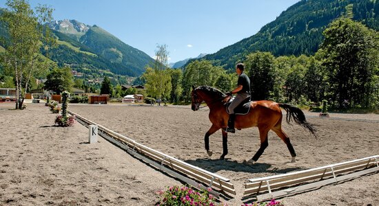 Reiter im Gasteiner Reitclub vor Bergkulisse