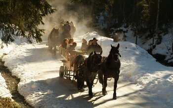 Pferdeschlittenfahrt im Winter